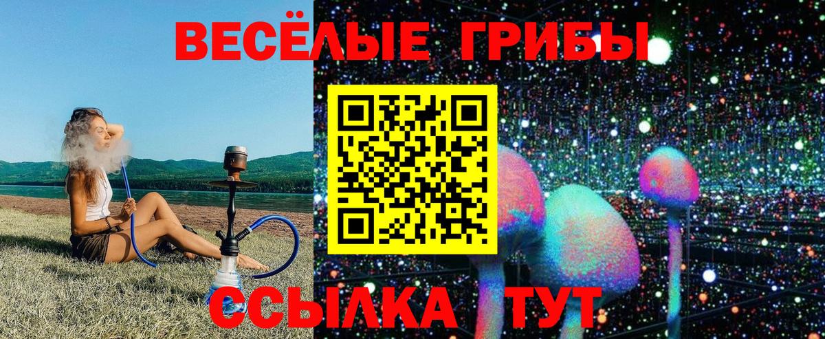 Псилоцибиновые грибы MAGIC MUSHROOMS Кимовск