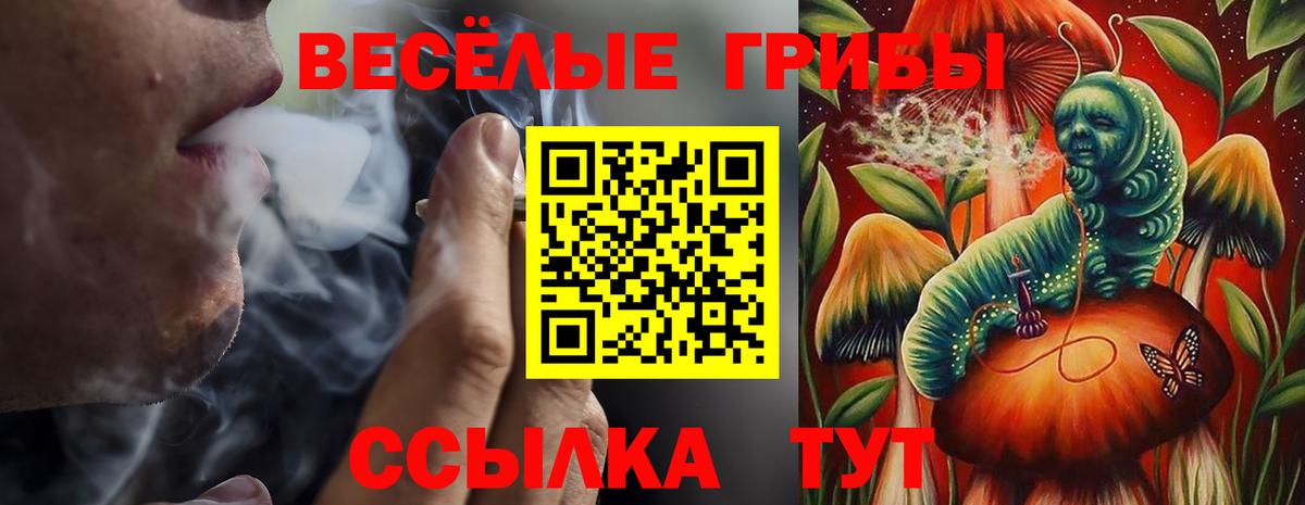 Кимовск  Галлюциногенные грибы GOLDEN TEACHER  Вход с VPN  Псилоцибиновые грибы Psilocybe 