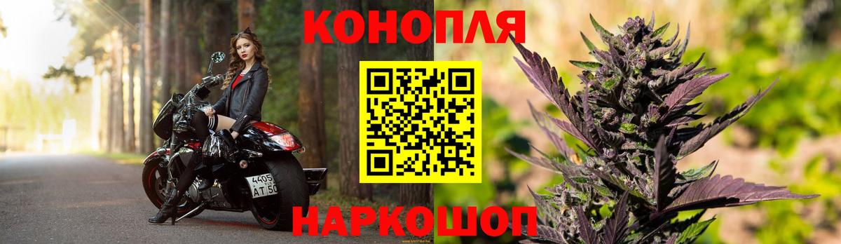 Бошки марихуана план Кимовск